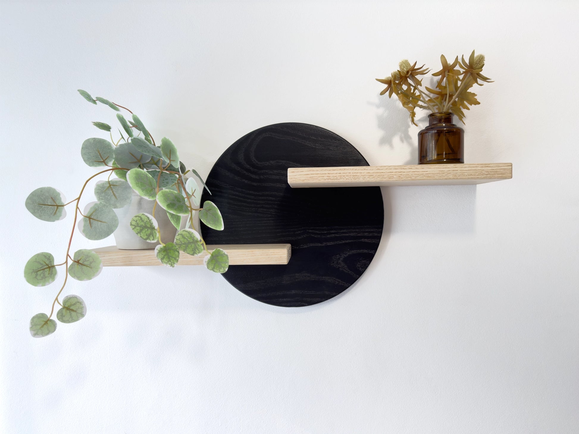 round wall shelves for plants, close up view 